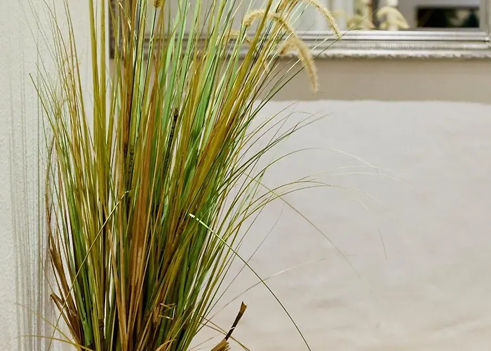 호텔 Gut Moschenhof