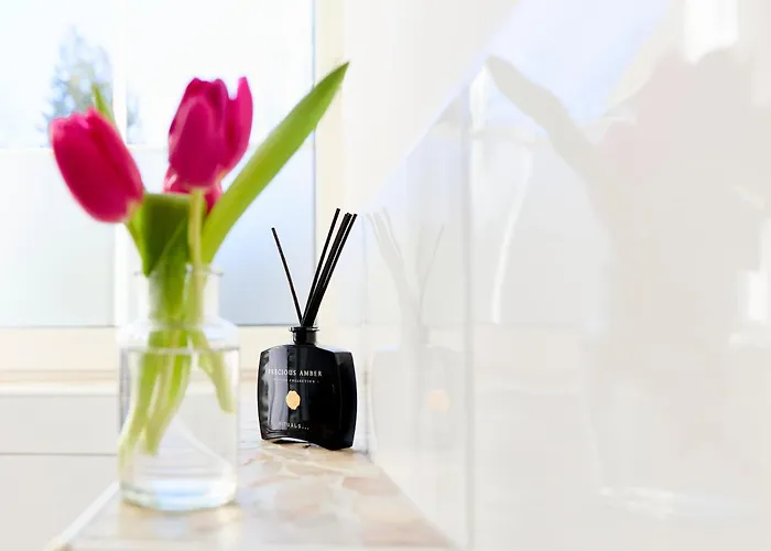 Gut Moschenhof 3* Ντίσελντορφ