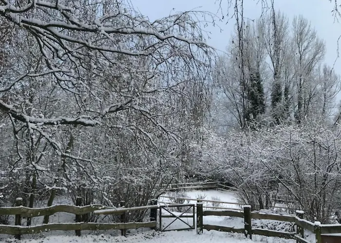 호텔 Gut Moschenhof