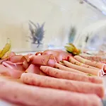 Gut Moschenhof 3*