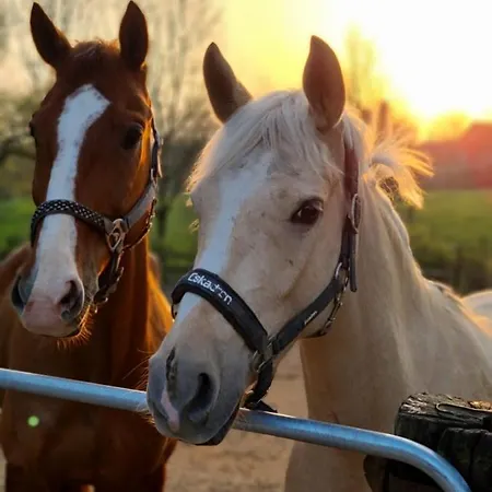 Gut Moschenhof מלון