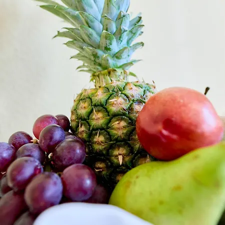 Gut Moschenhof מלון