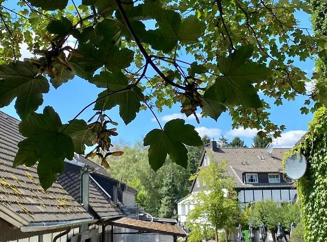 Gut Moschenhof