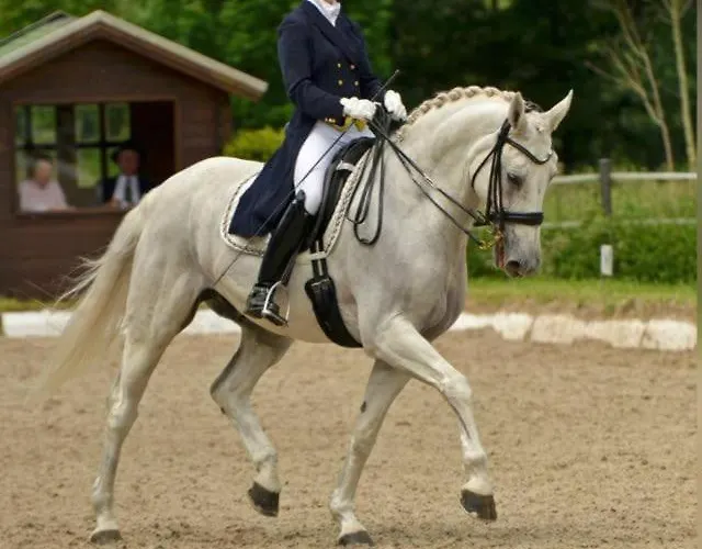 Gut Moschenhof Hotel 3*