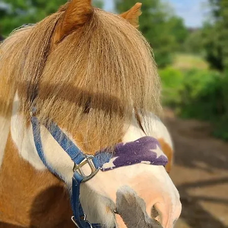 Gut Moschenhof 3* Düsseldorf