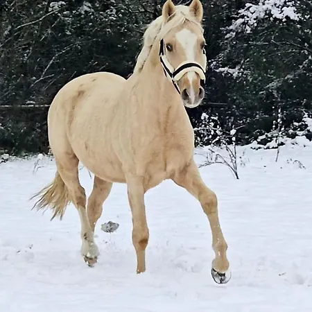 Gut Moschenhof 3* Düsseldorf