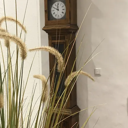 Gut Moschenhof 3* Ντίσελντορφ